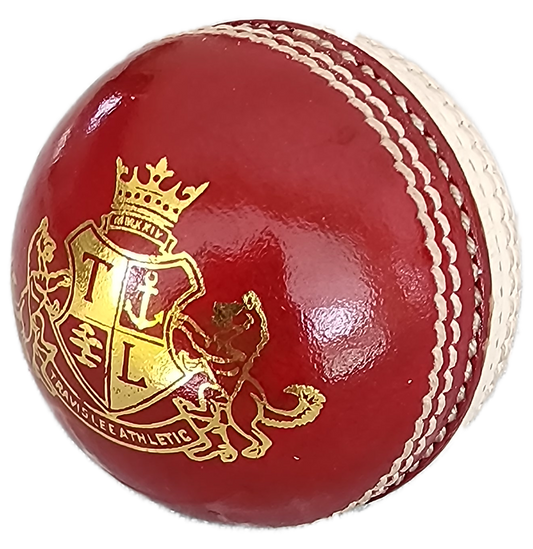 Cricket Ball 142g Practice